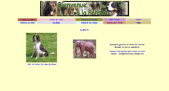 Desktop Screenshot of chiens-des-champs.com