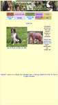Mobile Screenshot of chiens-des-champs.com